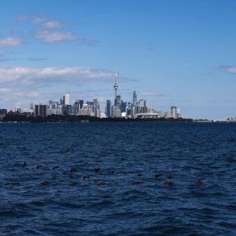 Google Maps Renames Lake Ontario to Lake America for US Users