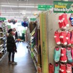 Dollar Tree Expands with 75 New Stores Amid Rising Consumer Financial Stress