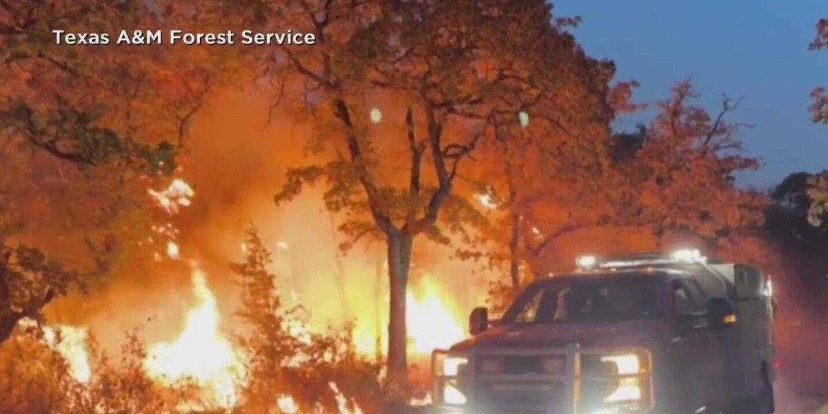 Ross Fire Continues to Ravage North Texas: 85,000 Acres Burned, Over 150 Structures Lost