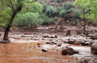 Urgent Search Underway at Grand Canyon: 15 Missing After Flash Flood, 1 Confirmed Death