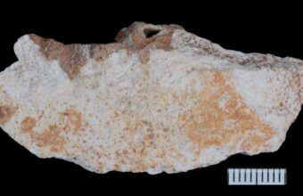China’s Cave Fossils Shed New Light on Mysterious Denisovans
