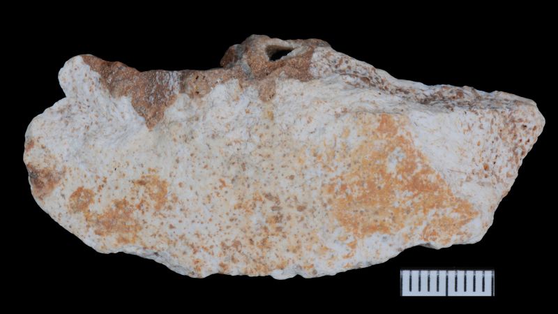China’s Cave Fossils Shed New Light on Mysterious Denisovans China’s Cave Fossils Shed New Light on Mysterious Denisovans