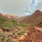 Grand Canyon Floods Claim Lives, Army Secretary Resigns: Key Updates
