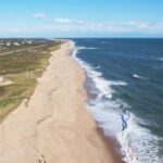 Woman Hospitalized Following Suspected Shark Bite at Martha’s Vineyard Woman Hospitalized Following Suspected Shark Bite at Martha’s Vineyard