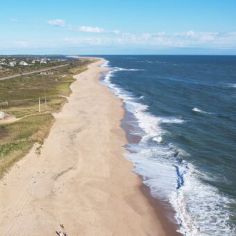 Woman Hospitalized Following Suspected Shark Bite at Martha’s Vineyard Woman Hospitalized Following Suspected Shark Bite at Martha’s Vineyard