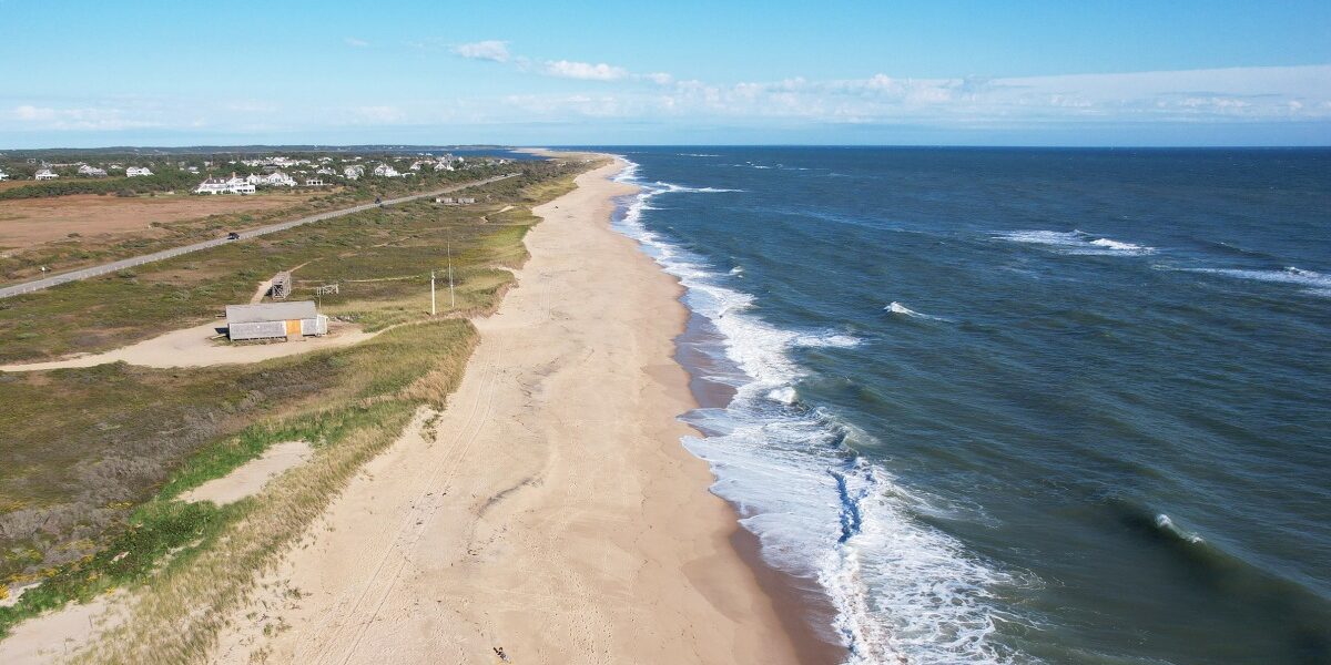 Woman Hospitalized Following Suspected Shark Bite at Martha’s Vineyard Woman Hospitalized Following Suspected Shark Bite at Martha’s Vineyard