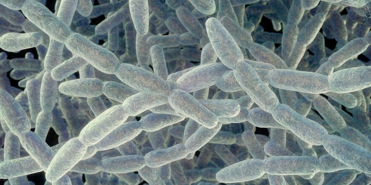 NYC Implements Enhanced Legionnaires’ Disease Safety Protocols Following Fatal Outbreak NYC Implements Enhanced Legionnaires’ Disease Safety Protocols Following Fatal Outbreak