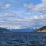 Mysterious Floating Island Reappears in Canadian Reservoir, Baffling Officials Mysterious Floating Island Reappears in Canadian Reservoir, Baffling Officials