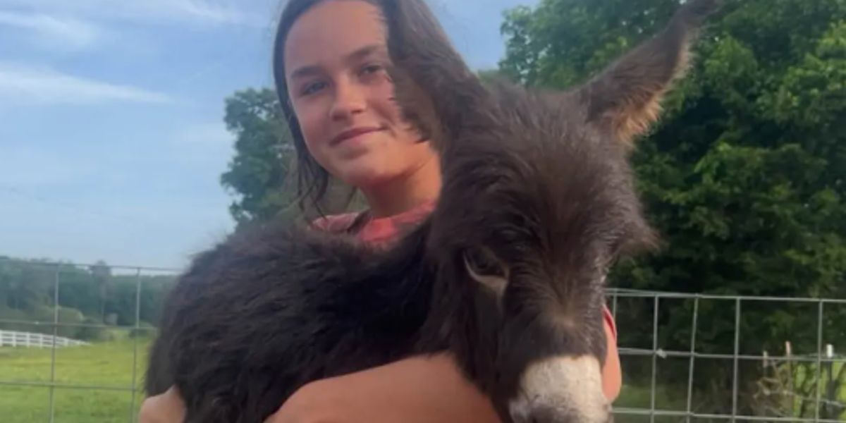 Georgia Officer Shoots Pet Donkey ‘HeeHaw’ During Missing-Child Search; Placed on Leave Amid Investigation