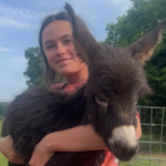 Georgia Officer Shoots Pet Donkey ‘HeeHaw’ During Missing-Child Search; Placed on Leave Amid Investigation
