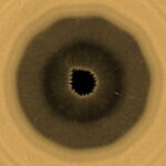 Astronomers Discover Massive 10-Sided Cloud Pattern Swirling Over Saturn’s South Pole