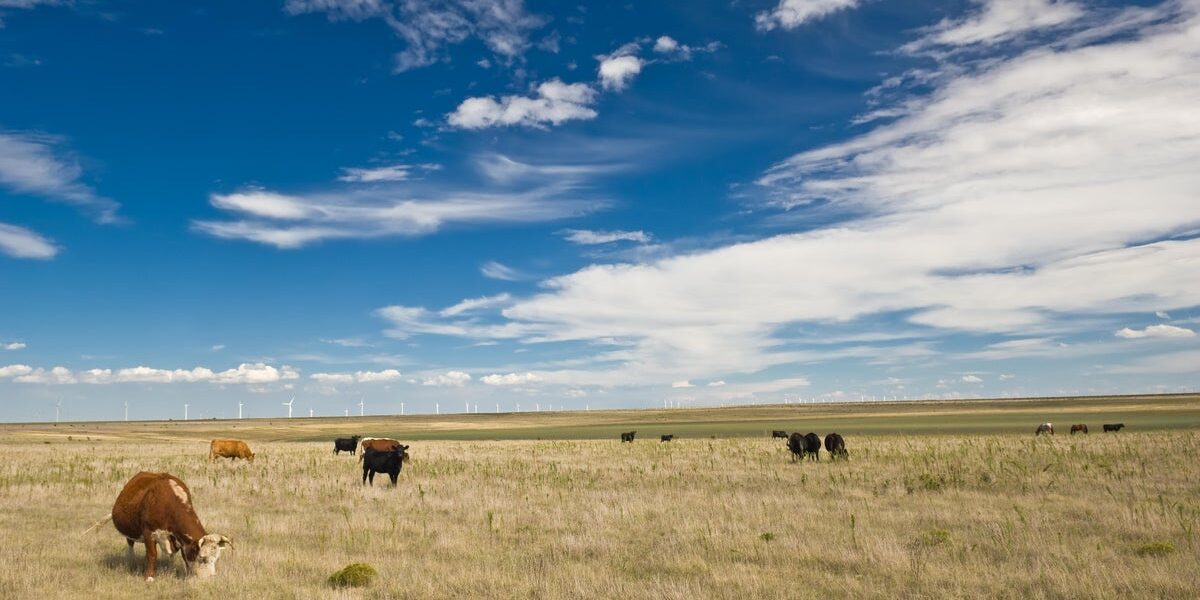 Wyoming Ranchers Face Tough Choices Amid Drought, Rising Costs and Beef Import Policy Shift Wyoming Ranchers Face Tough Choices Amid Drought, Rising Costs and Beef Import Policy Shift
