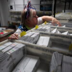 Late Postmarks Spike in Washington and Oregon Ballots Amid USPS Changes