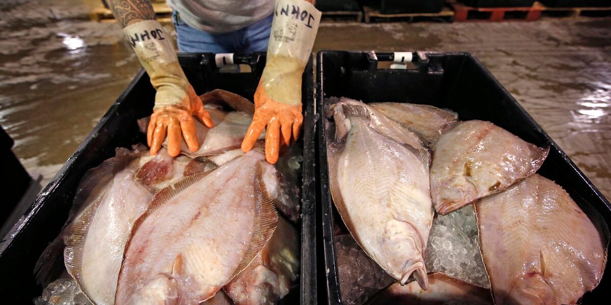 Can Flounder Become the Next Social Media Food Trend? Chefs Are Optimistic Can Flounder Become the Next Social Media Food Trend? Chefs Are Optimistic