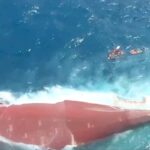 Indonesian Rescue Teams Struggle to Reach Capsized Ship as 129 Remain Missing Indonesian Rescue Teams Struggle to Reach Capsized Ship as 129 Remain Missing