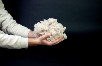 Can Fashion Redesign Its Future Without Exploiting Animals or the Planet?