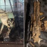 42kg of Fentanyl, Golden Gun, and Alligator Seized in LA Drug Raid 42kg of Fentanyl, Golden Gun, and Alligator Seized in LA Drug Raid