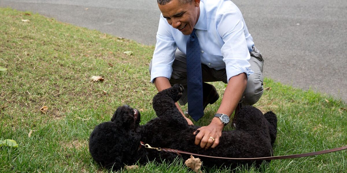 Barack Obama Shares Heartfelt Farewell for Family Dog Sunny, Who Passed Away at 13 Barack Obama Shares Heartfelt Farewell for Family Dog Sunny, Who Passed Away at 13