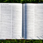 Merriam-Webster Unveils 1,400 New Words for Its Latest Dictionary Update