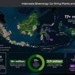 Japan’s Biomass Demand Sparks Deforestation in Indonesia