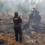 Indonesia Wildfires Expected to Persist Through November Amid Severe El Nino Drought