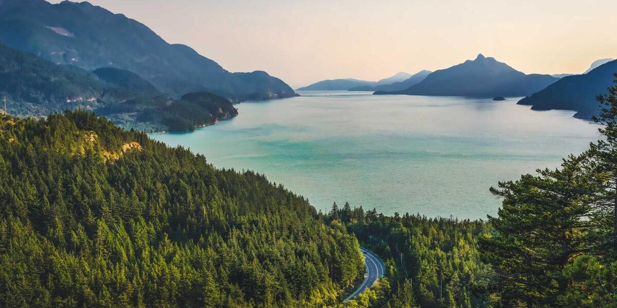 POLICY WIRE FACT CHECK: Does photo show experimental circular forest in Japan? POLICY WIRE FACT CHECK: Does photo show experimental circular forest in Japan?