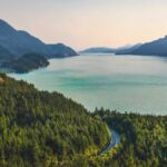POLICY WIRE FACT CHECK: Does photo show experimental circular forest in Japan?